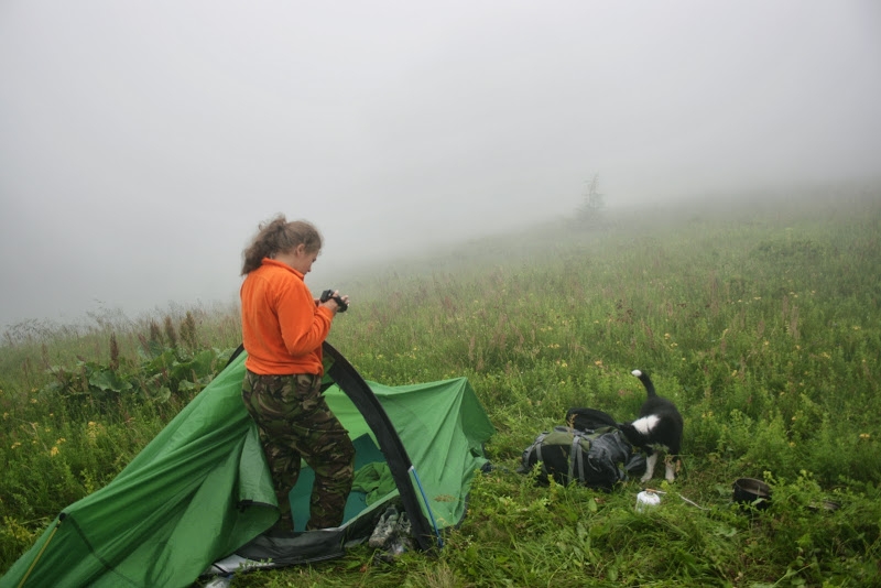 Піший туризм з собакою: Blog by DieselDraft: Звіт походу з цуценям в гори