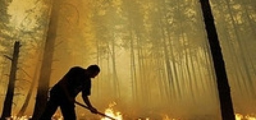 26-28 вересня в Україні оголошено пожежну небезпеку 5го класу